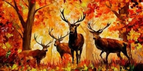 GoldenbergCeade's profile banner image