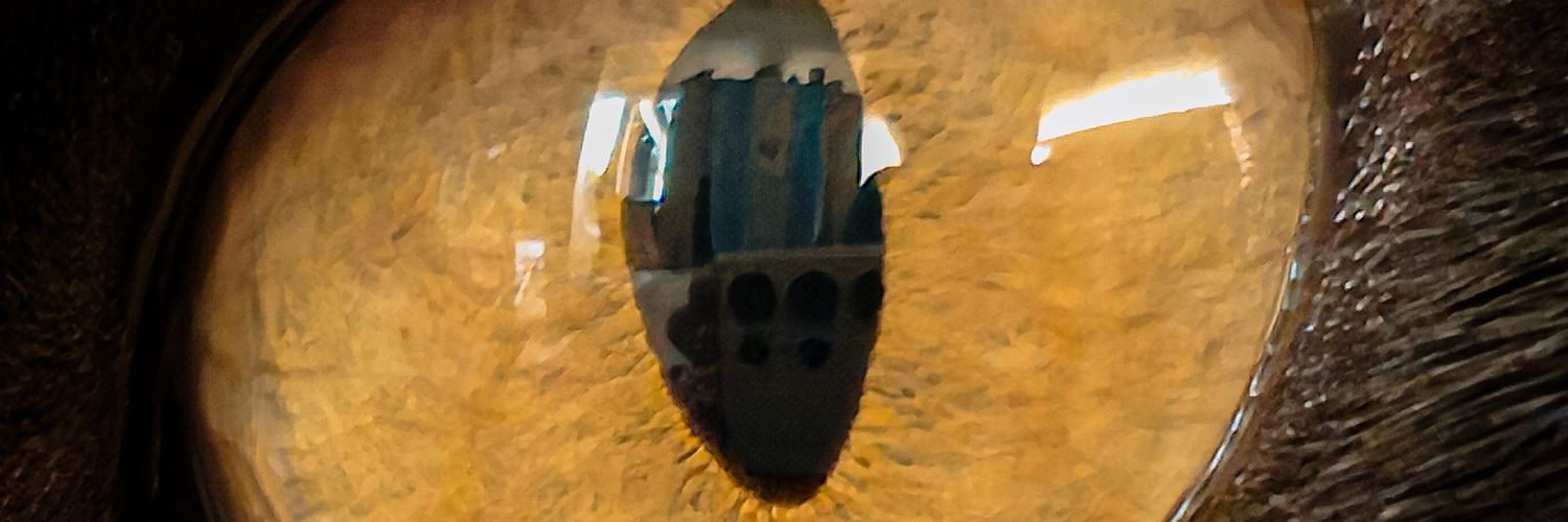 Lightstudio365 banner