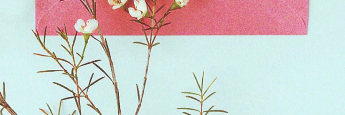 hdooy_199's profile banner image