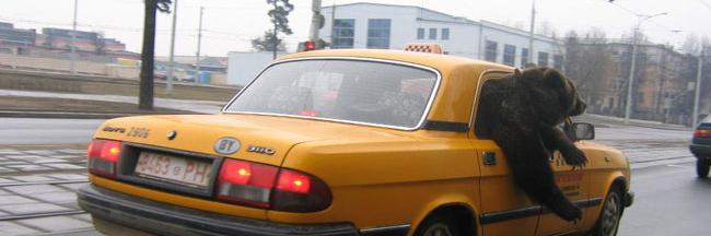 SMBToeKnee's profile banner image
