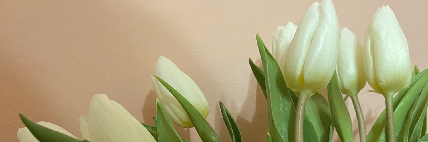 giulicasula's profile banner image