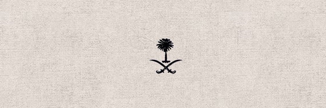 amiqn21's profile banner image
