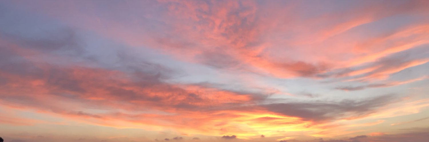 emilykn29's profile banner image