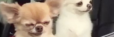 sndytng's profile banner image