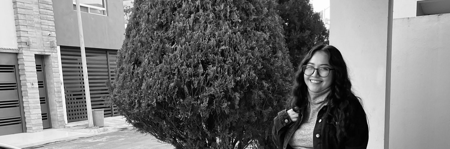 _ramiroaleman's profile banner image