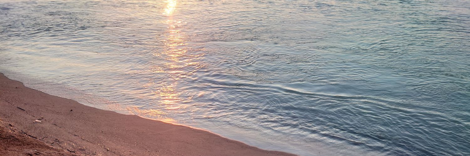 ころも's banner