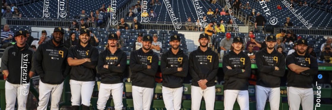 Shea Spitzbarth banner