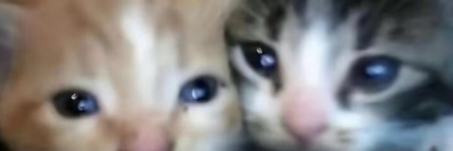 rectfencer's profile banner image