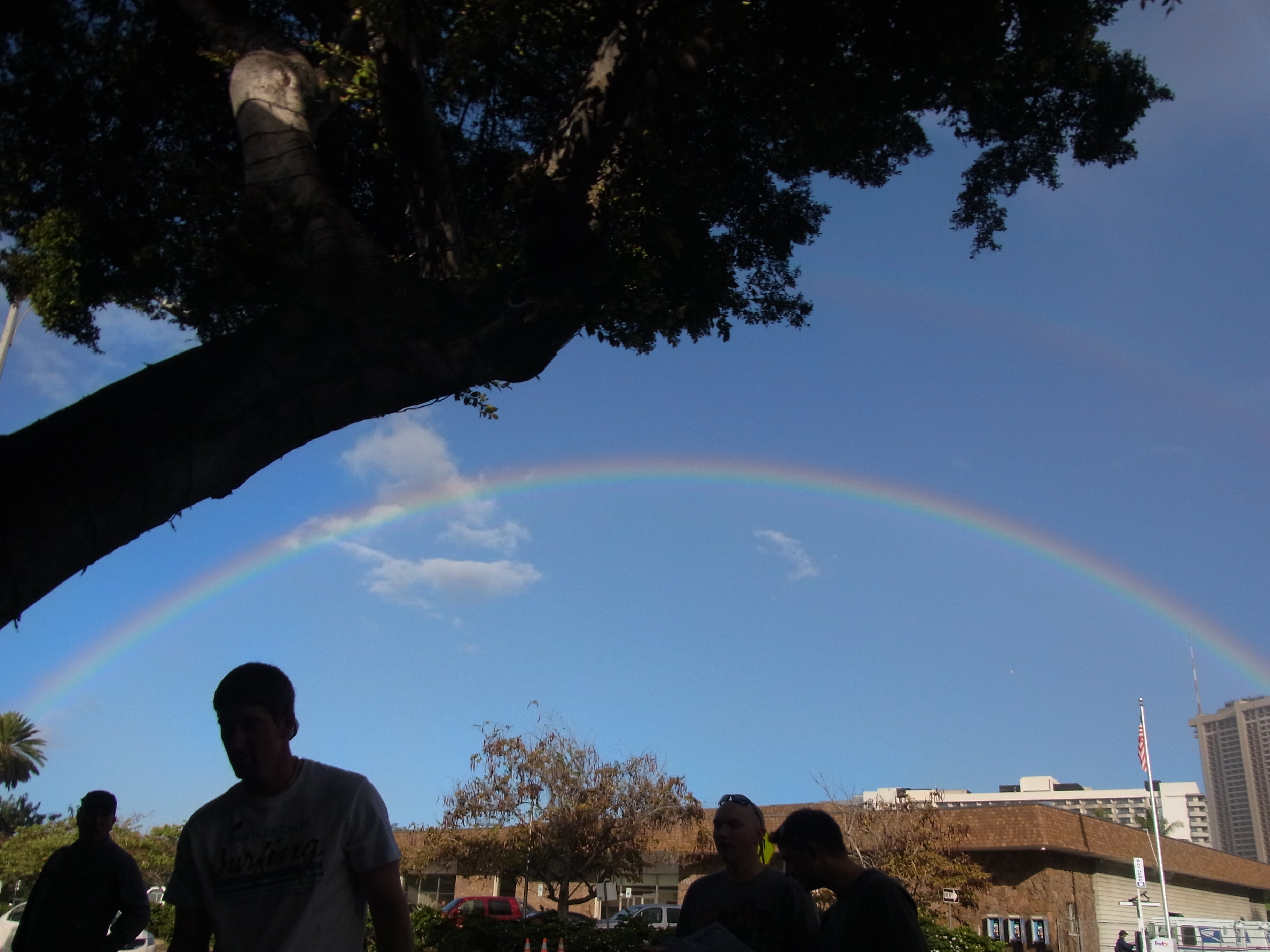 17533's profile banner image