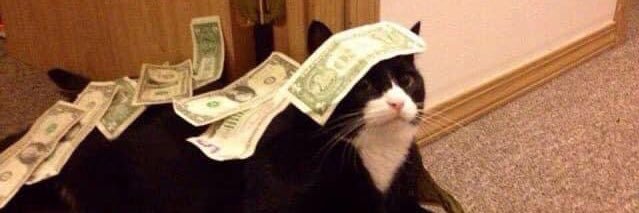 Shego | RTs! / Read bio! banner