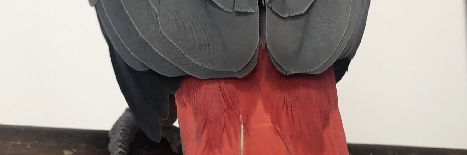 yoshi209's profile banner image