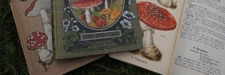 greyoldtea's profile banner image