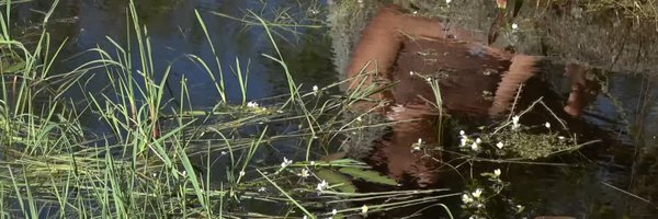 FOLKLOREN0W Profile Banner