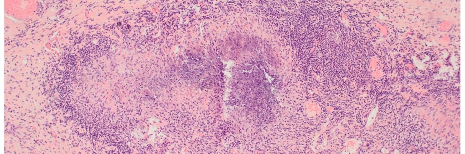 Rheuma Doc's banner