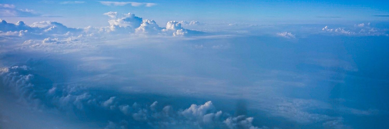 竹林蘑菇碳一只_A banner