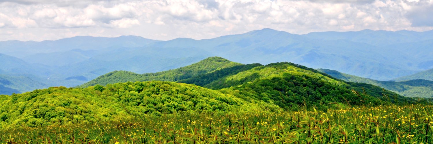 Philip Wiener banner