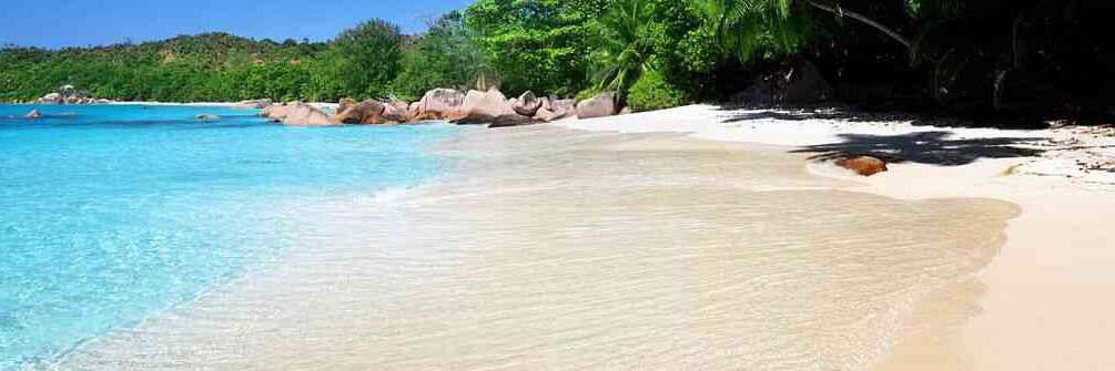 واحد من الناس banner