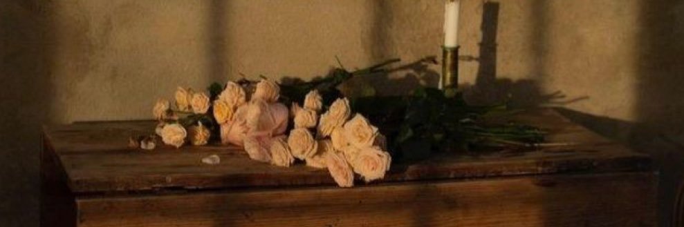 ✨ banner