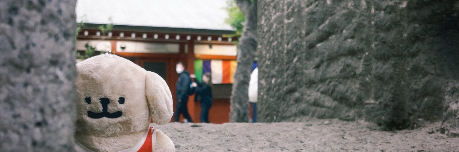 兔子不能吃ᙏ̤̫ 體弱多病系 🤒 banner