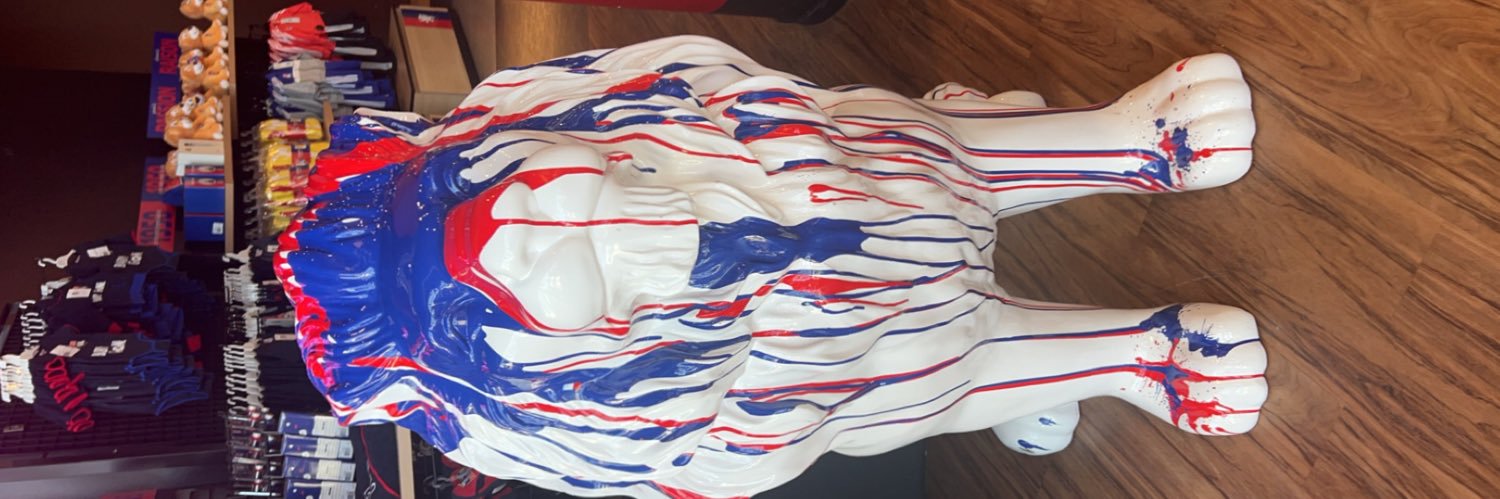 lyon foot banner
