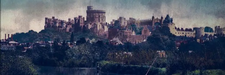 Anna D. Allen banner