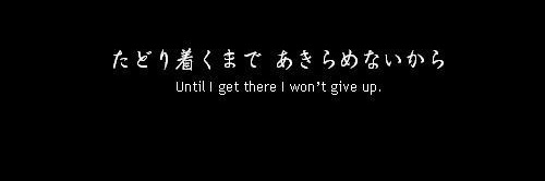 Nozel mt after dm banner