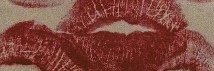 fogus📸 banner