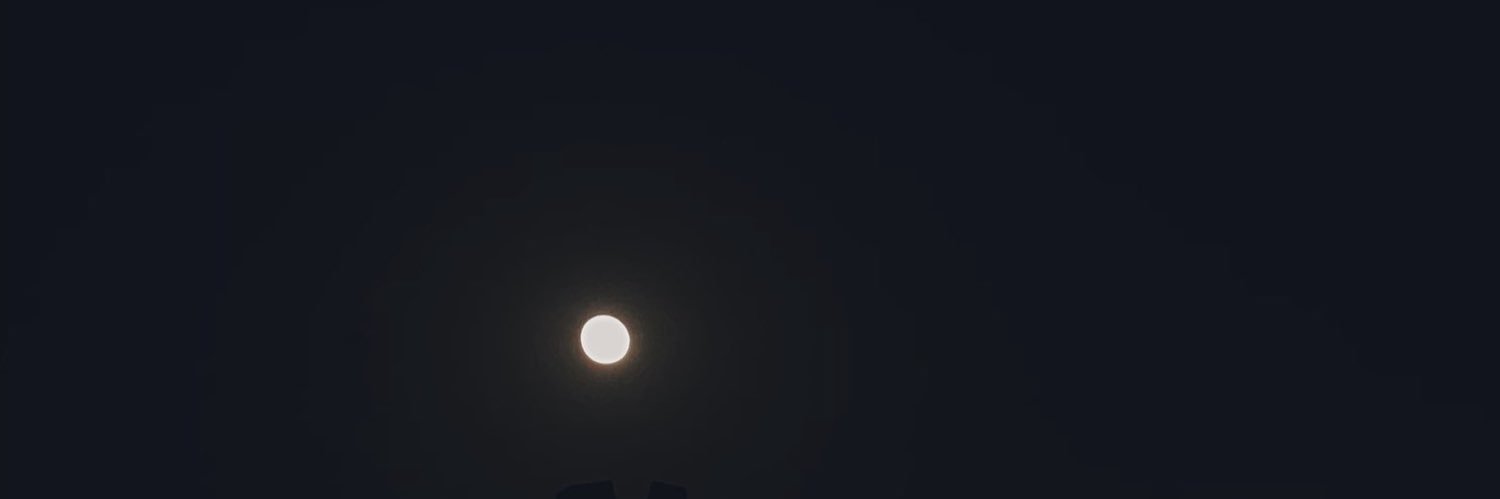Ylubp's profile banner image