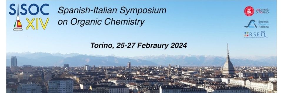 SISOC2024 banner