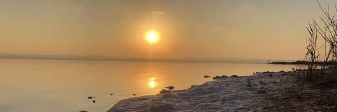 Mikael M 🇮🇱🇸🇪 banner