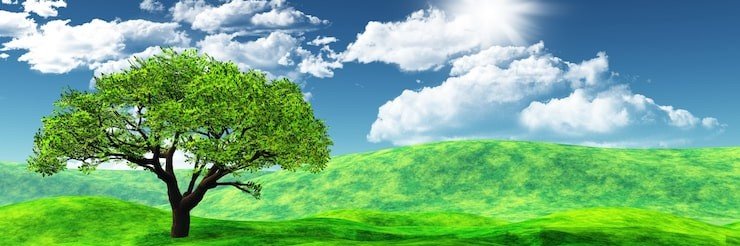 sanjay29599124's profile banner image