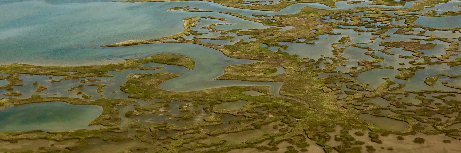 Gulf_Coast's profile banner image