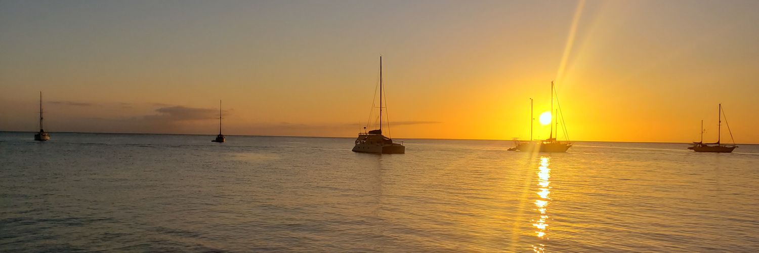 camilonotsesto's profile banner image