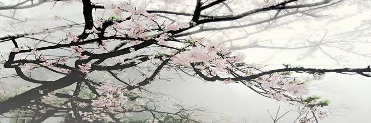 kitty_whups's profile banner image