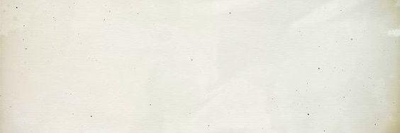 Alejandra Rodriguez banner