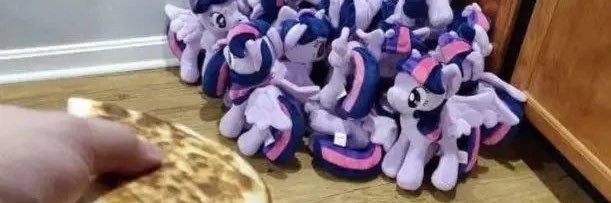 evil fluttershy's banner
