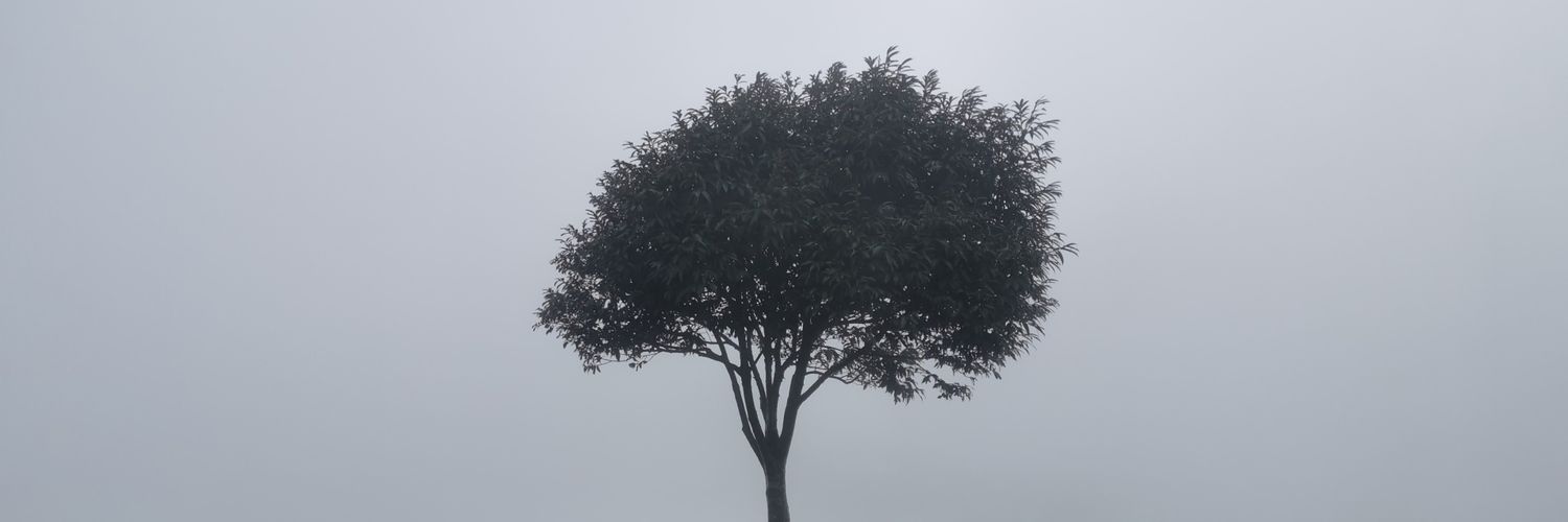 pdycoco's profile banner image