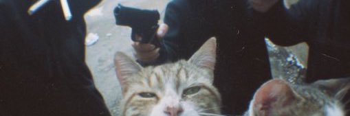 Julius__Ceasar1's profile banner image