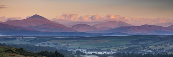 Daily_Record Profile Banner