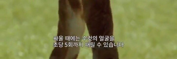 호호호 banner