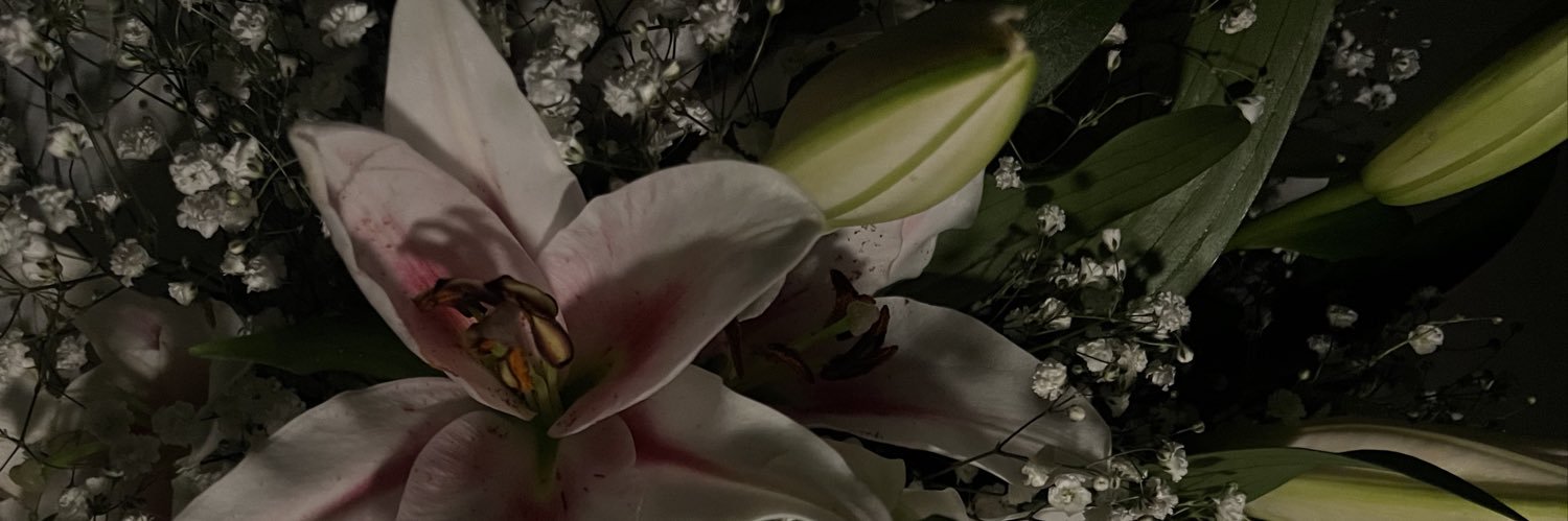 zahra banner