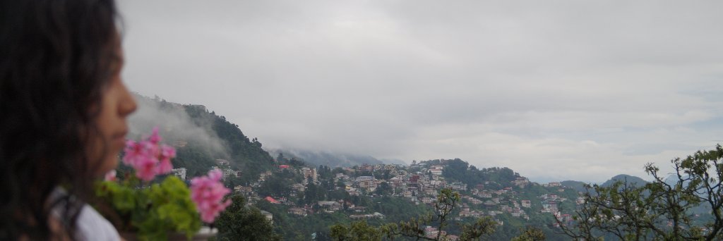 nishamonideka's profile banner image