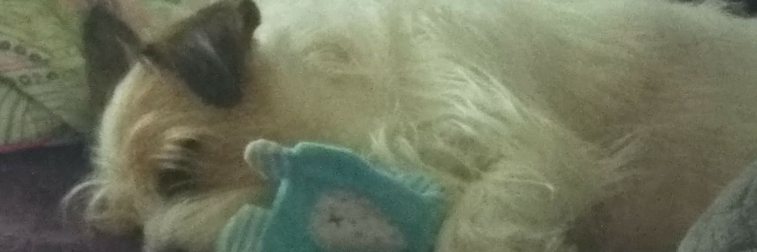 __newhell's profile banner image