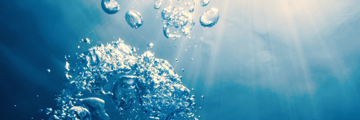 くらげ banner