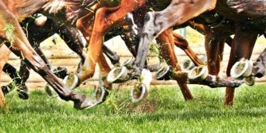 Aust Trainers Association banner