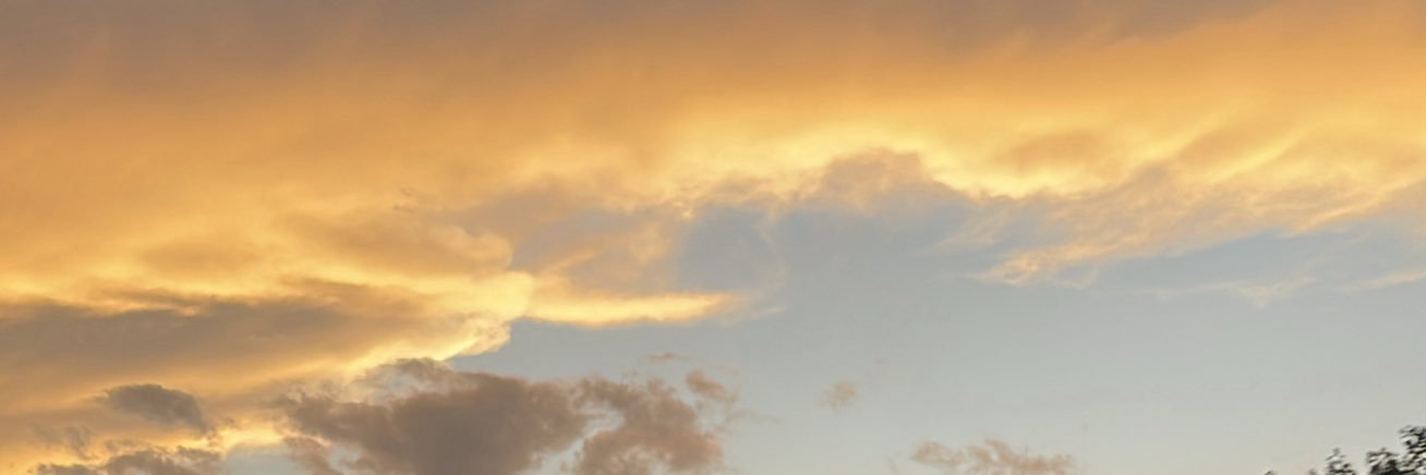 DantonyskiDan's profile banner image