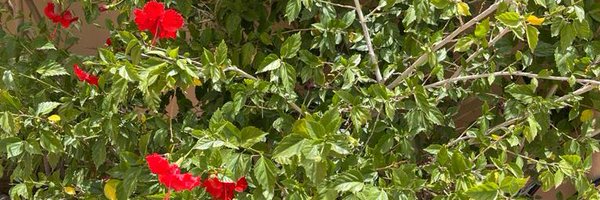 1m1m_m1 Profile Banner