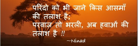_ninad's profile banner image