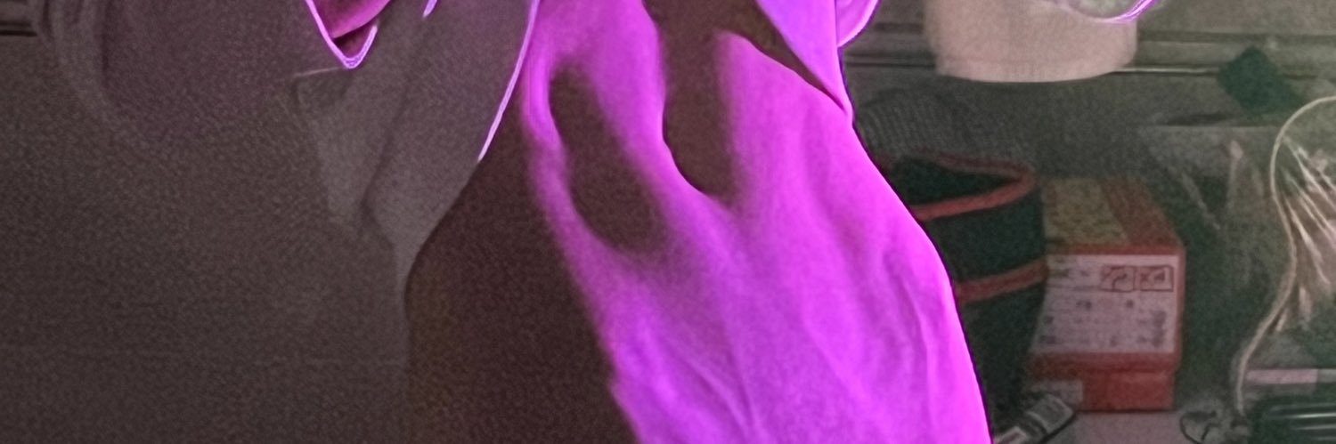 an_linke's profile banner image