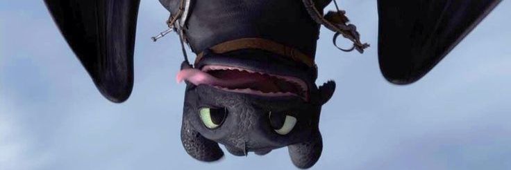 Night Fury banner